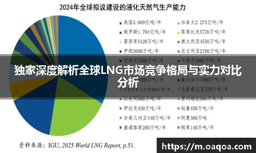 独家深度解析全球LNG市场竞争格局与实力对比分析