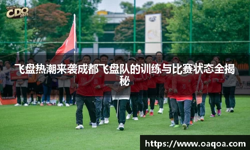 飞盘热潮来袭成都飞盘队的训练与比赛状态全揭秘
