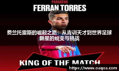 龙8平台